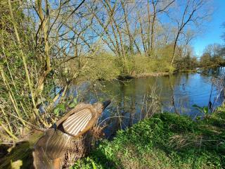 Squirrel Cottage - Thornton Dale - 8
