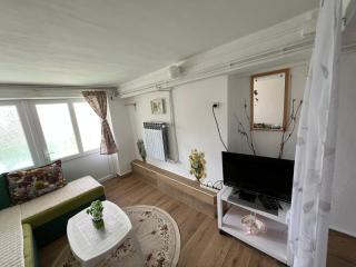 Apartments Obradović Milan - Žabljak - 7