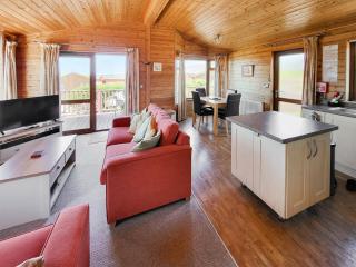 Pine Lodge - Ilfracombe - 5
