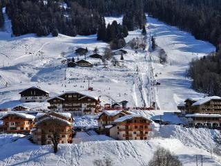 Appartement au pied des pistes avec piscine intérieure - FR-1-505-109 - 6