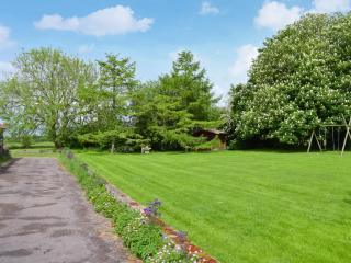 Ivy - Uk47373 - Burgh le Marsh - 3