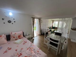 Apartments Obradović Milan - Žabljak - 9