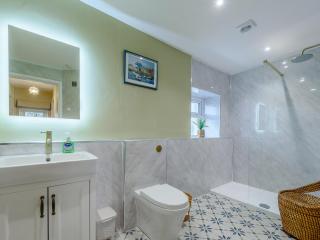 Maesyrhaf - Llanllwchaiarn - 2