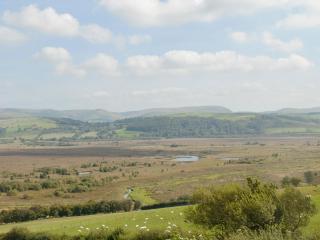Pant Y Bryn Bach - Cilycwm - 2