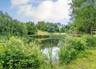 Herons Brook Retreat Lodges - Narberth - 2