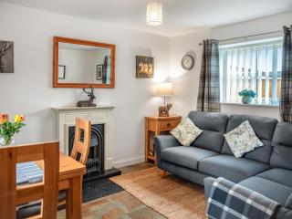 Bullions Farm Cottage - Edmondbyers - 8