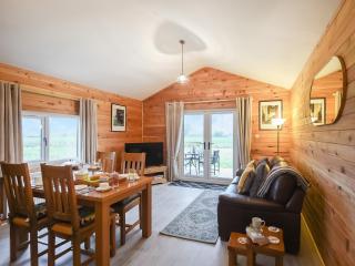 Llwynog Lodge - Montgomery - 8