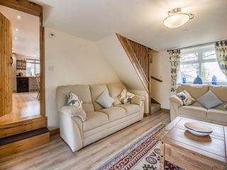 Frondeg Bach - Cross Inn - 8