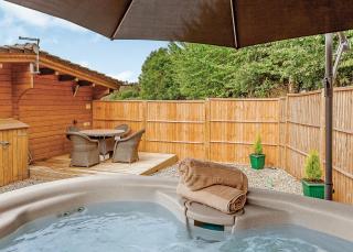 Gadlas Park Holiday Cabins - Ellesmere - 4