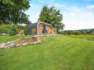 Freedom Fields - Bluebell - Straiton - 1