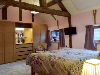 Chick Hatch Barn - Kelsale - 2