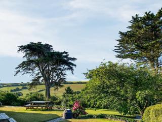 Tara - Kingsbridge - 2