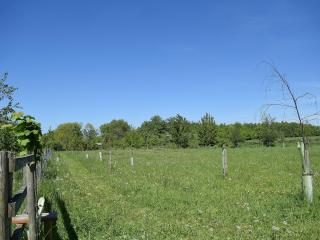 The Lodge At Elmley Meadow - Little Comberton - 1
