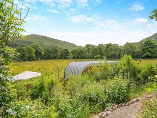 Freedom Fields - Bluebell - Straiton - 2
