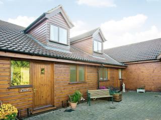 Coot Cottage - Dilham - 8