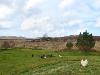 Riverview Cottage - Acharacle - 1