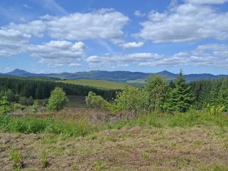 Elnagar Cottage - Pitlochry - 9