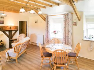 Bryn Eithin - Cottage - Moel-tryfan - 8