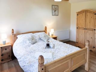 Bryn Eithin - Cottage - Moel-tryfan - 4