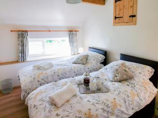 Bryn Eithin - Cottage - Moel-tryfan - 3