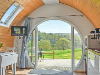 Seren - Abbey-Cwmhir - 8