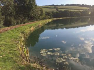 Kingfisher - 30788 - Swimbridge - 3