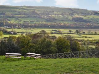 Durham Cottage-27765 - Wolsingham - 4