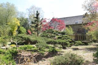 Gîte de Beltaine en Brocéliande SPA et bain nordique - Mauron - 6