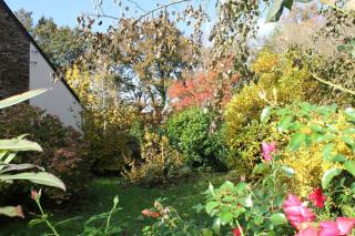 Gîte de Beltaine en Brocéliande SPA et bain nordique - Mauron - 1