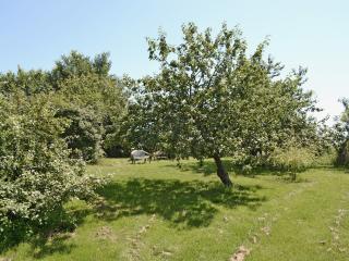 High House Holiday Cottages 1 - Hooe - 3