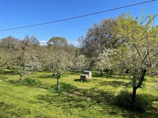The Coach House Annexe - Tilston - 7