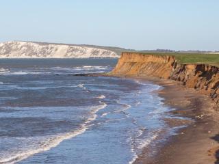 The Barn - Brighstone - 5