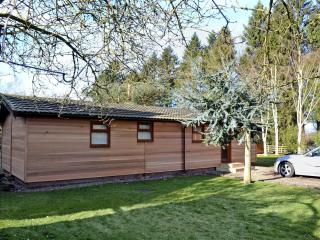 Cedar Lodge - Ellington - 9