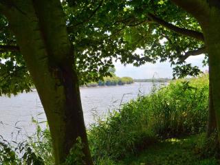 Riverbank Cottage - Althorpe - 2