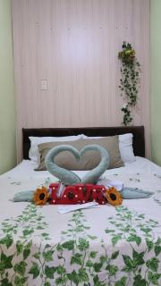 Amigas Transient House - Santo Tomas - 8