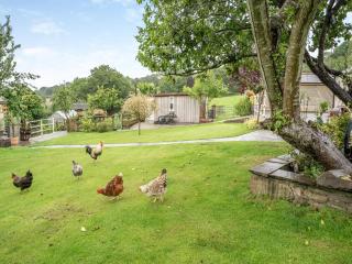 Molehill Lodge - Ammanford - 4
