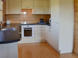 Otter - Uk12540 - Witheridge - 2