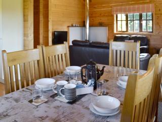 Otter - Uk12540 - Witheridge - 5