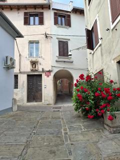 Villa Ivana - Capodistria - 8