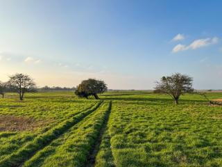 Orchard Barn - Thurlton - 9