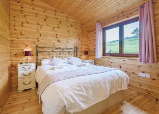 Trewythen Lodges - Caersws - 6