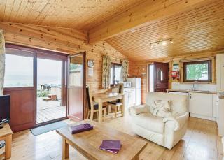 Trewythen Lodges - Caersws - 1