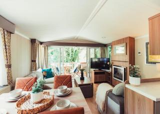 Herons Lake Retreat - Caerwys - 3