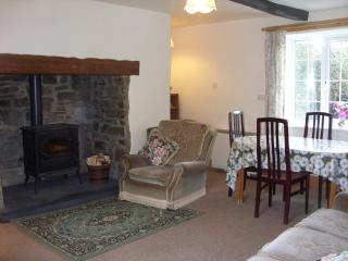 East Hook Holiday Cottages - Daisy Cottage - Okehampton - 9