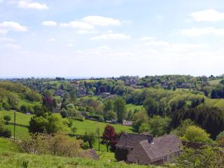 Ivy Cottage - 1