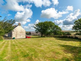 Trefrane House-Qc1119 - Roch - 4