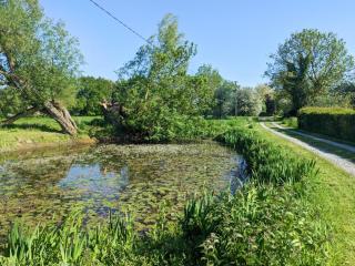 Larks Nest - Wortham - 1