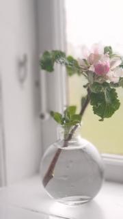 Ronehamn Bed and Breakfast - Hemse - 8