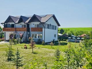 Cabana Trandafir - Iaşi - 8