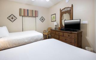 Phoenix X 309 condo - 1
